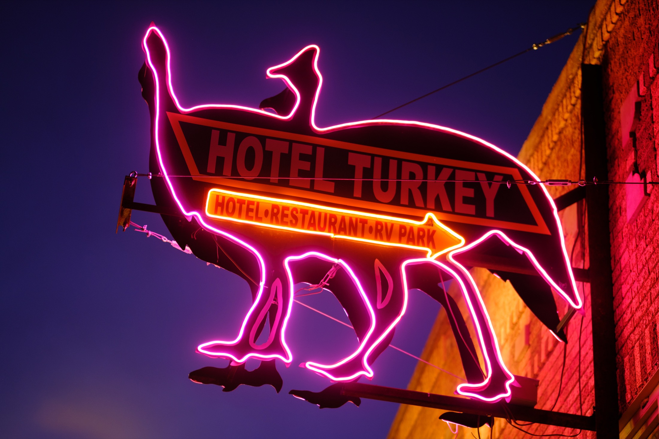 The neon Hotel Turkey sign at night